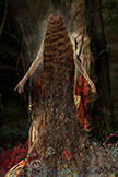 clingingvinesth